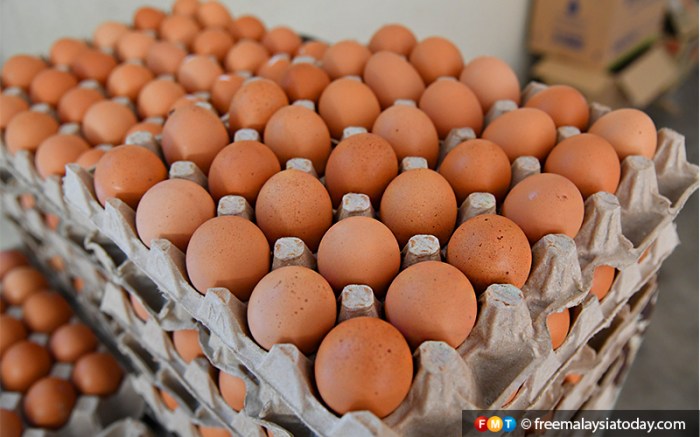 Bagaimana Meningkatkan Nilai Jual Telur Ayam Kampung