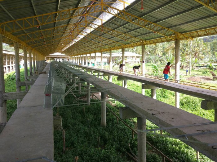 Mengembangkan Program Edukasi Konservasi Ayam Hutan Untuk Masyarakat